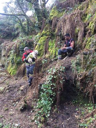 Firefighter rescuing the Terrier at Lanner