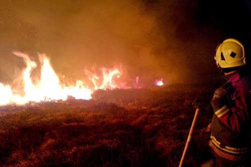 Photo showing a Cornwall Firefighter stood near a gorse fire on Laneast Moor